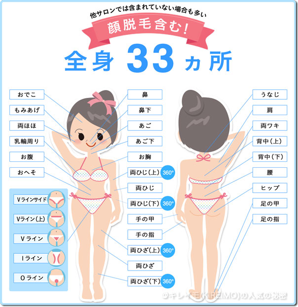 キレイモの脱毛部位33か所 キレイモの脱毛部位33か所