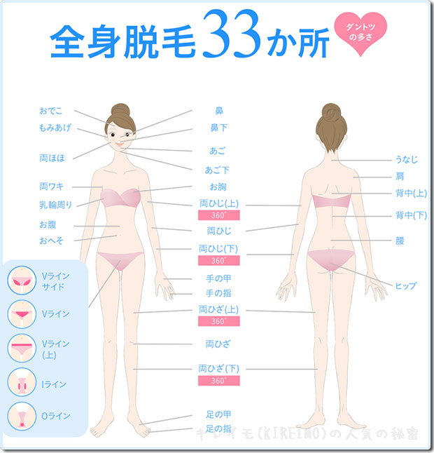 キレイモの脱毛部位33か所 キレイモの脱毛部位33か所