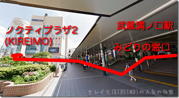 kireimo溝の口店の周辺(武蔵溝ノ口駅からキレイモまで)