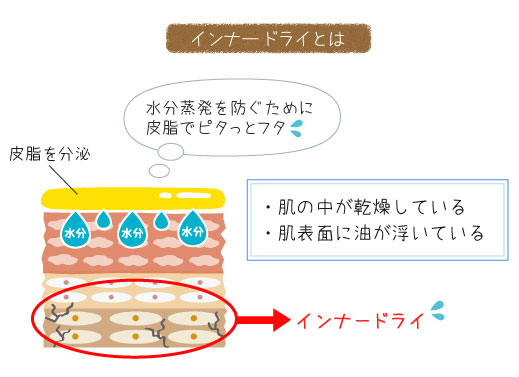 インナードライ肌